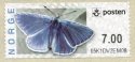 (image for) 2007 First Butterfly Design