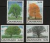 (image for) 1999 Deciduous Trees