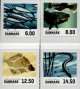 (image for) 2013 Fish