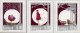 (image for) 2013 Christmas Stamps