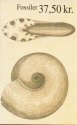 (image for) 1998 Fossils (Booklet)