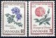 (image for) 1973 Horticultural Society