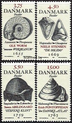 (image for) 1998 Fossils