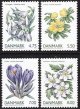 (image for) 2006 Spring Flowers