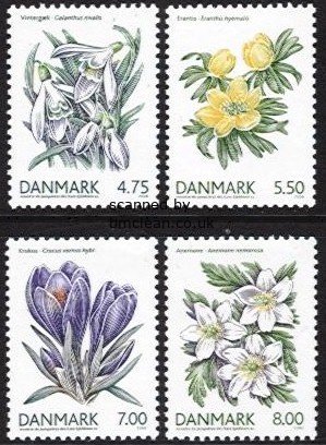 (image for) 2006 Spring Flowers