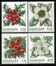 (image for) 2008 Winter Flora