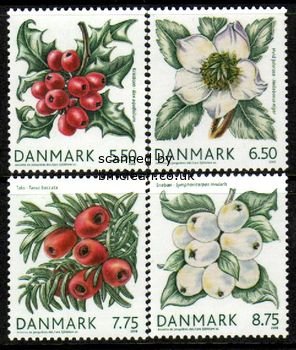 (image for) 2008 Winter Flora