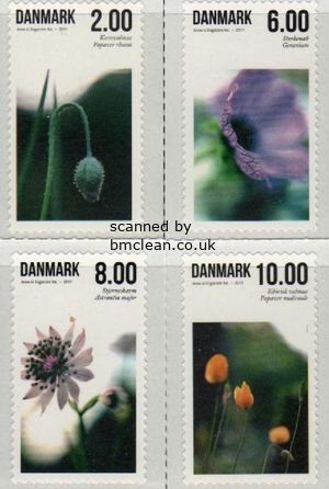 (image for) 2011 Summer Flowers