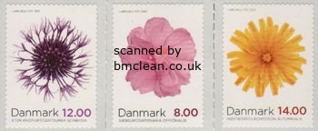 (image for) 2012 Autumn Flowers