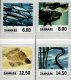 (image for) 2013 Fish