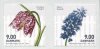 (image for) 2014 Spring Flowers