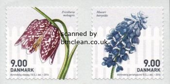 (image for) 2014 Spring Flowers