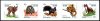 (image for) 2020 Mammals
