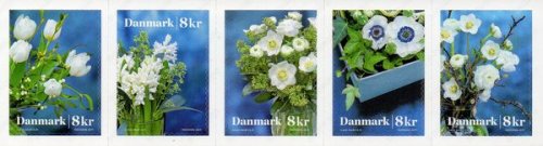 (image for) 2017 Winter Flowers