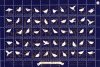 (image for) 1955 Christmas Seals (Sheet)