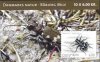 (image for) 2007 Nature - Tiger Beetle (60Kr Booklet)