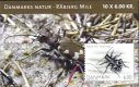 (image for) 2007 Nature - Tiger Beetle (60Kr Booklet)