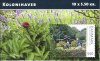 (image for) 2008 Allotment Association (Booklet)