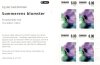 (image for) 2011 Summer Flowers (Booklet)