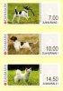 (image for) 2015 Machine Labels (Dogs)