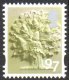 (image for) 97p Oak Tree