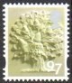 (image for) 97p Oak Tree