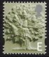 (image for) E value Oak Tree
