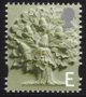(image for) E value Oak Tree