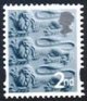 (image for) 2nd Lions
