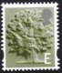 (image for) E value Oak Tree