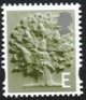 (image for) E value Oak Tree