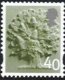 (image for) 40p Oak Tree