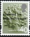 (image for) 40p Oak Tree