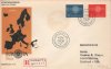 (image for) 1960 Sweden