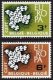 (image for) 1961 Belgium