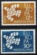(image for) 1961 Netherlands