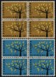 (image for) 1962 Netherlands