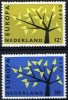 (image for) 1962 Netherlands