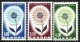 (image for) 1964 Portugal