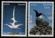 (image for) 1993 Iceland