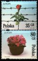 (image for) 1995 Poland