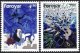 (image for) 1997 Faroes