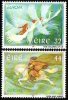 (image for) 1997 Ireland