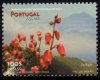 (image for) 1999 Azores
