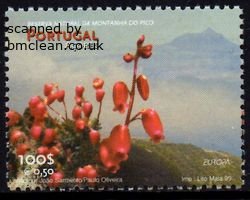 (image for) 1999 Azores