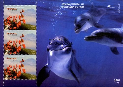 (image for) 1999 Azores M/S