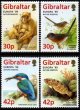 (image for) 1999 Gibraltar