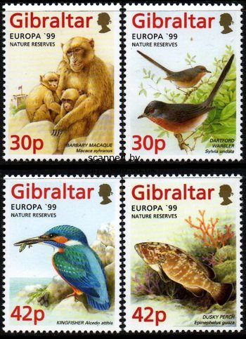 (image for) 1999 Gibraltar