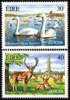 (image for) 1999 Ireland