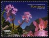 (image for) 1999 Madeira